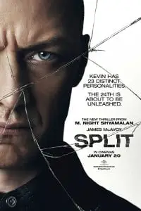 split 2016