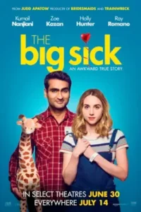 the big sick 2017