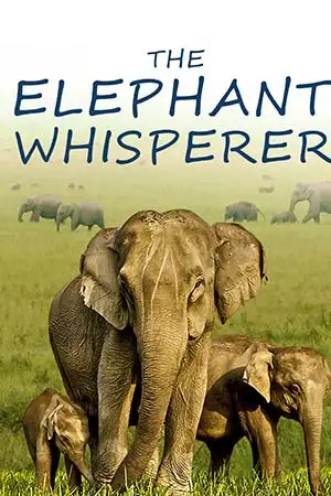 the elephant whisperers 2022